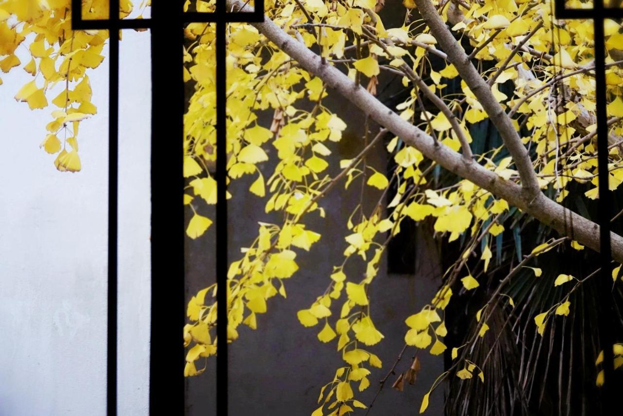 Pure-Land Villa Suzhou  Bagian luar foto
